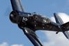 RN7_9697wt.jpg
