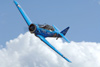 RN7_9702wt.jpg