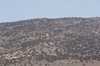 RN7_6650wt.jpg