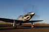 RN7_9977wt.jpg
