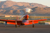 8RN_3885t.jpg