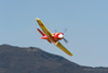 RN8_0283t.jpg