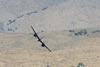 8RN_3719t.jpg