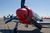 RN8_0183t.jpg