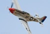 Reno2010_44-84933_cf1_8757t.jpg