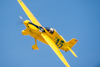 Reno_2014-42100t.jpg