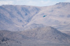 Reno_2014-72579t.jpg