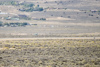 Reno_2014-72597t.jpg
