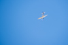 Reno_2014-75790t.jpg