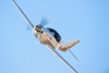 Reno_2014-42644t.jpg