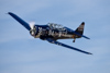 Reno_2014-41696t.jpg