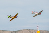 Reno_2014-64935t.jpg