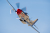 Reno_2014-42536t.jpg