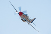 Reno_2014-53526t.jpg