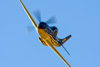 CurtisFowles-Reno2016-162493t.jpg