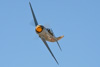 CurtisFowles-Reno2016-163276t.jpg