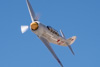 CurtisFowles-Reno2016-165305t.jpg