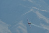 CurtisFowles-Reno2016-168080t.jpg