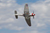 CurtisFowles-Reno2016-68543t.jpg