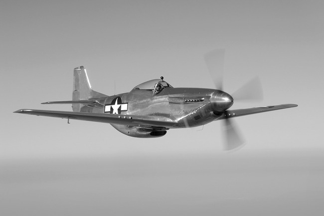 P-51 Survivor 44-72093 